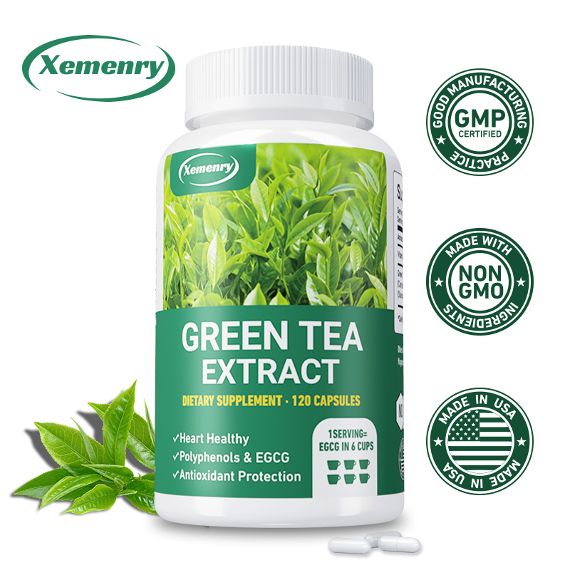 Green Tea Extract Fat - Ekstrak teh hijau-suplemen pembakar lemak cepat