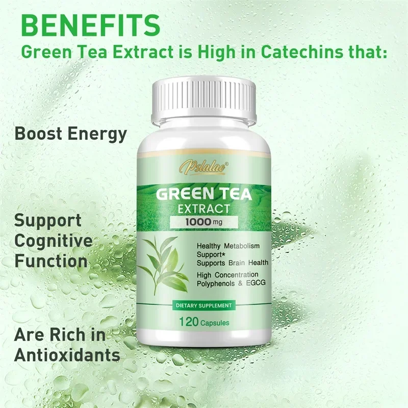 Green Tea Extract Fat - Ekstrak Teh Hijau - dengan 98%