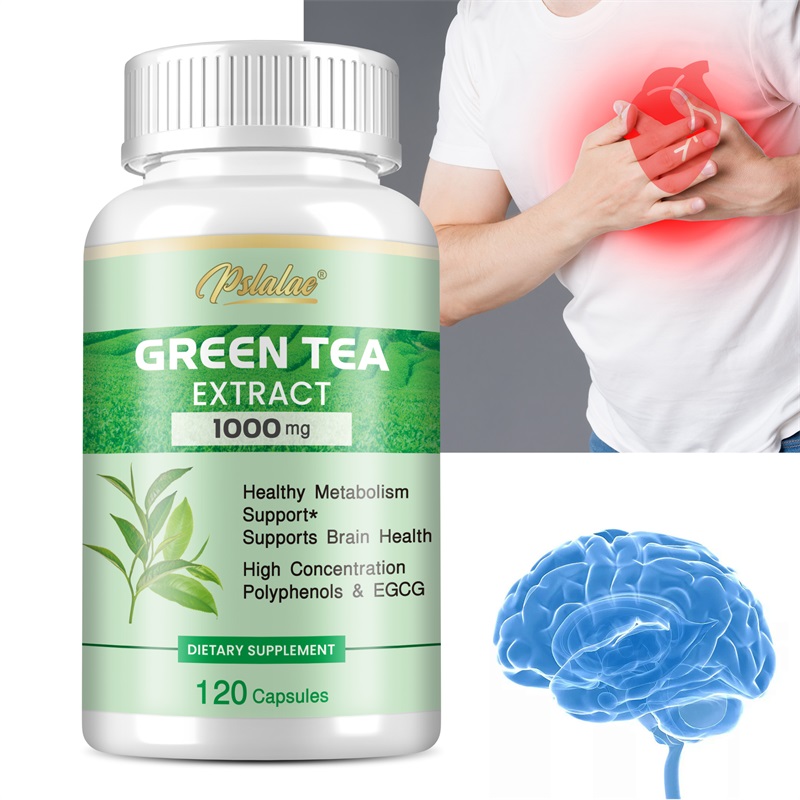 Green Tea Extract Fat - Ekstrak Teh Hijau - dengan 98%