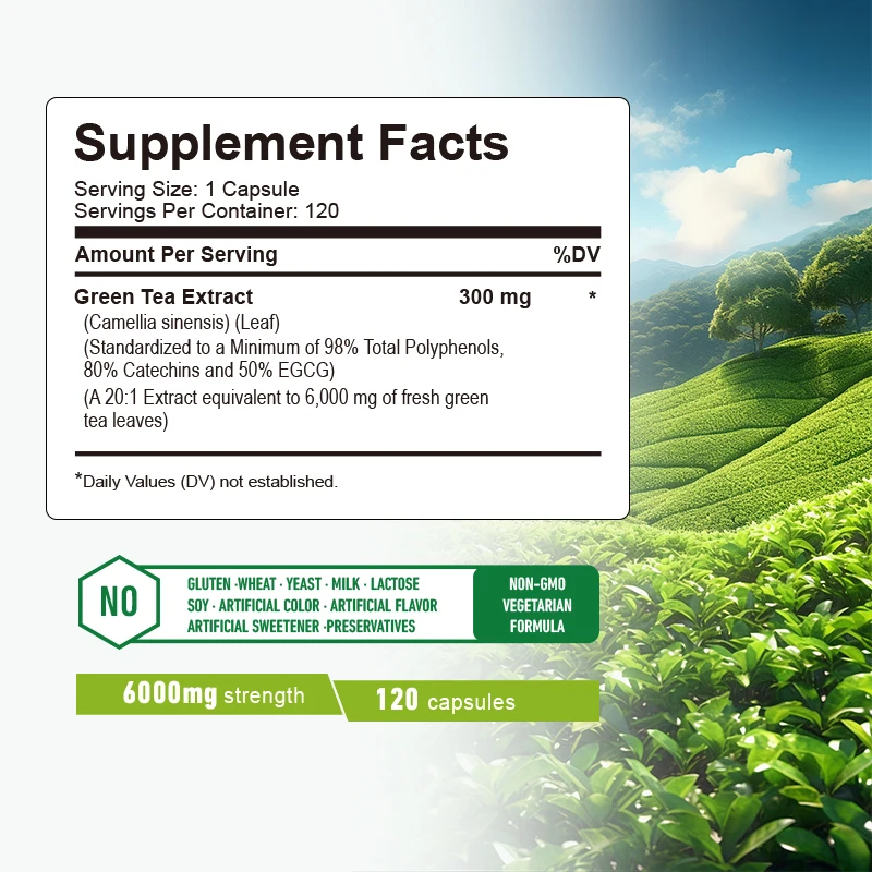 Kapsul Teh Hijau - Meningkatka - Green Tea Extract Fat ulasan dan harga