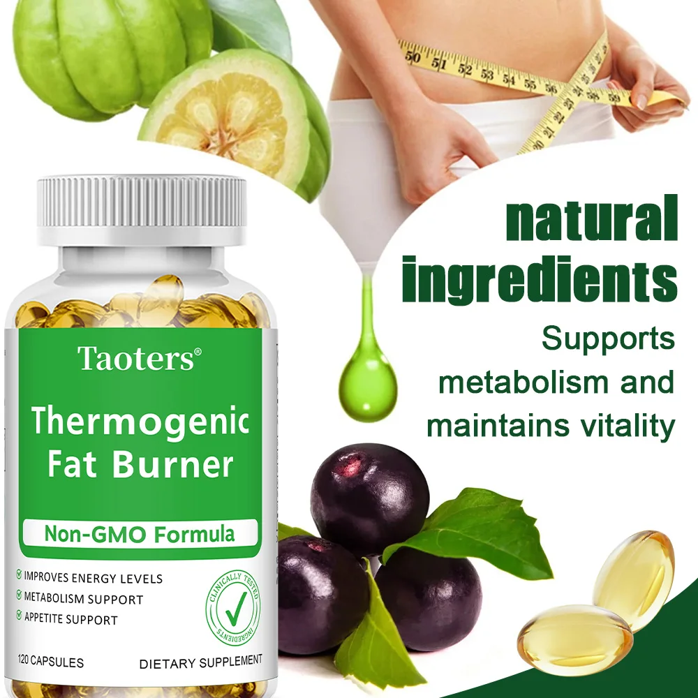 Ekstrak Teh Hijau - dengan Cuk - Green Tea Extract Fat ulasan dan harga