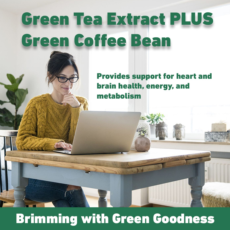 Ekstrak teh hijau-suplemen pem - Green Tea Extract Fat ulasan dan harga