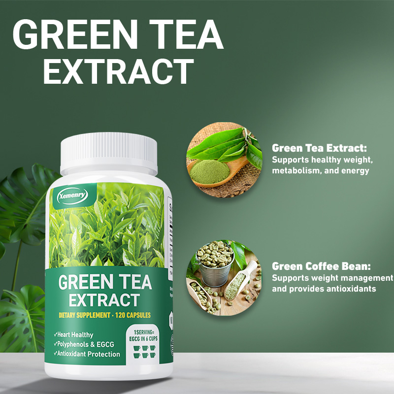 Ekstrak teh hijau-suplemen pem - Green Tea Extract Fat ulasan dan harga
