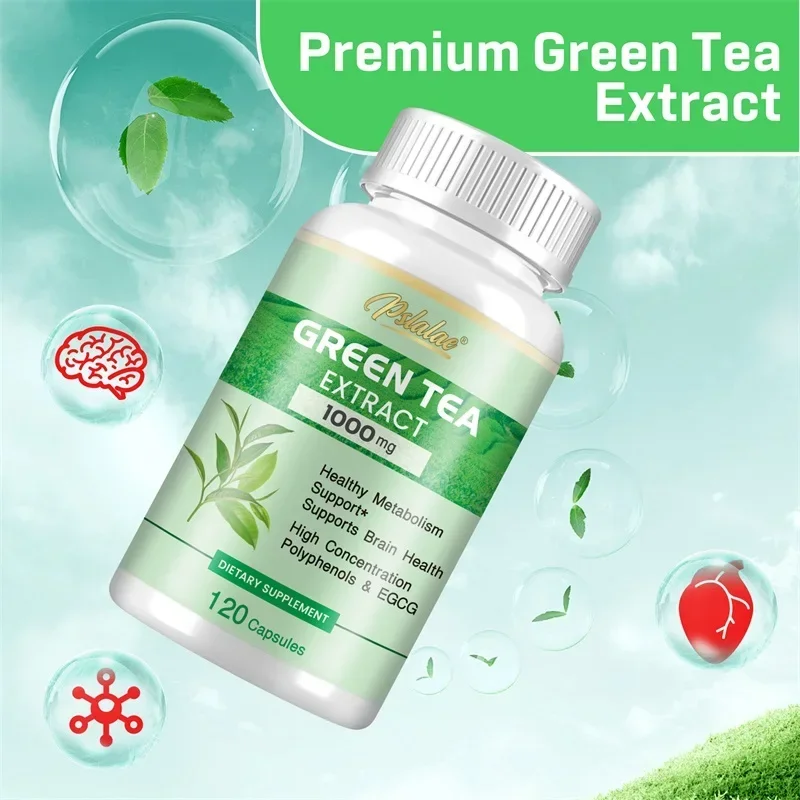 Ekstrak Teh Hijau - dengan 98% - Green Tea Extract Fat ulasan dan harga