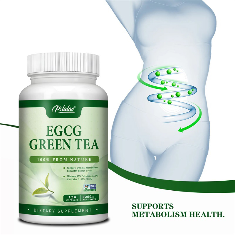 Ekstrak teh hijau EGCG-memperc - Green Tea Extract Fat ulasan dan harga